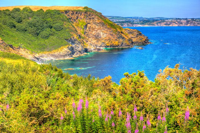 St Austell Cliff