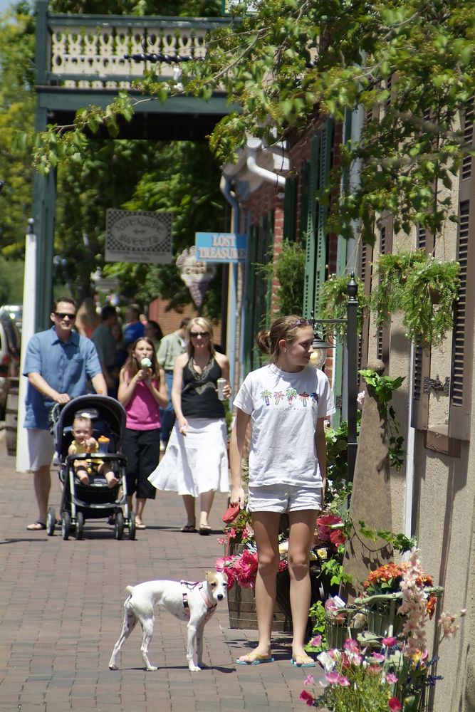 St. Charles Historic District