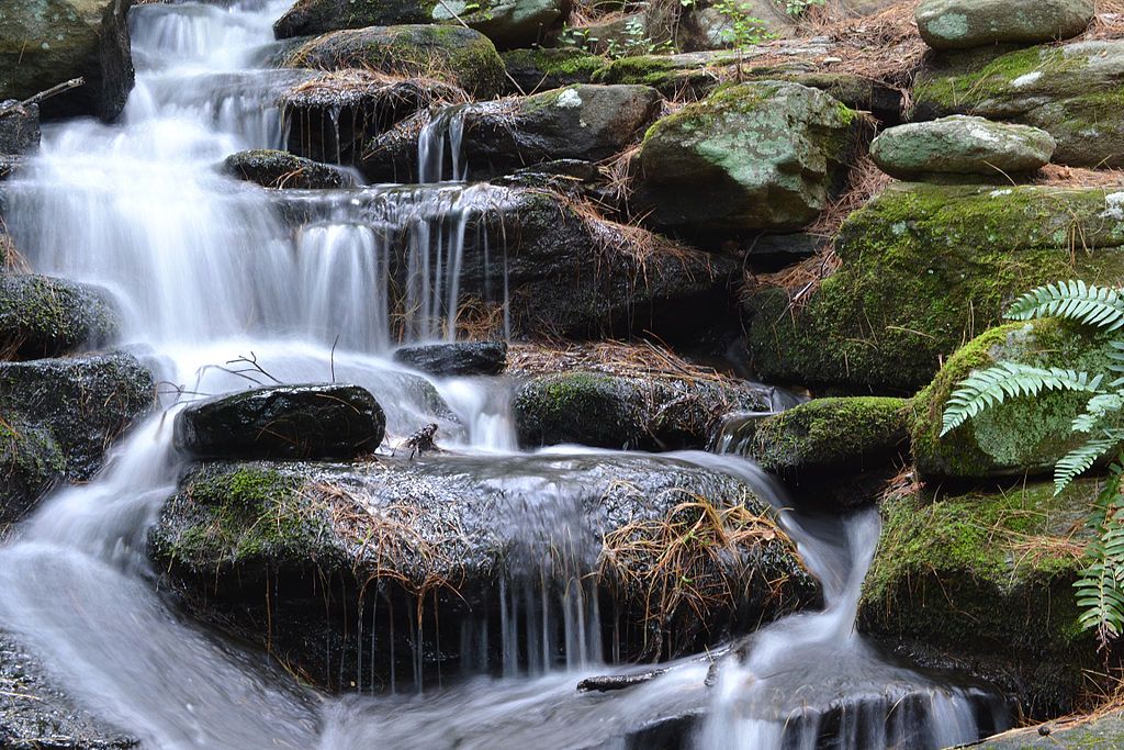 Waterfall at Stanley Park