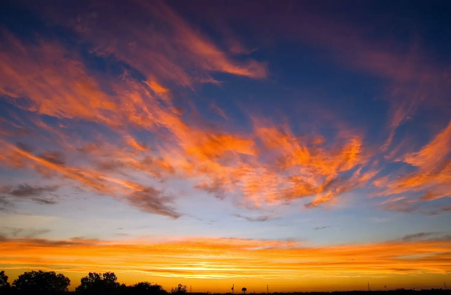 20 Best Things to Do in Stephenville, TX