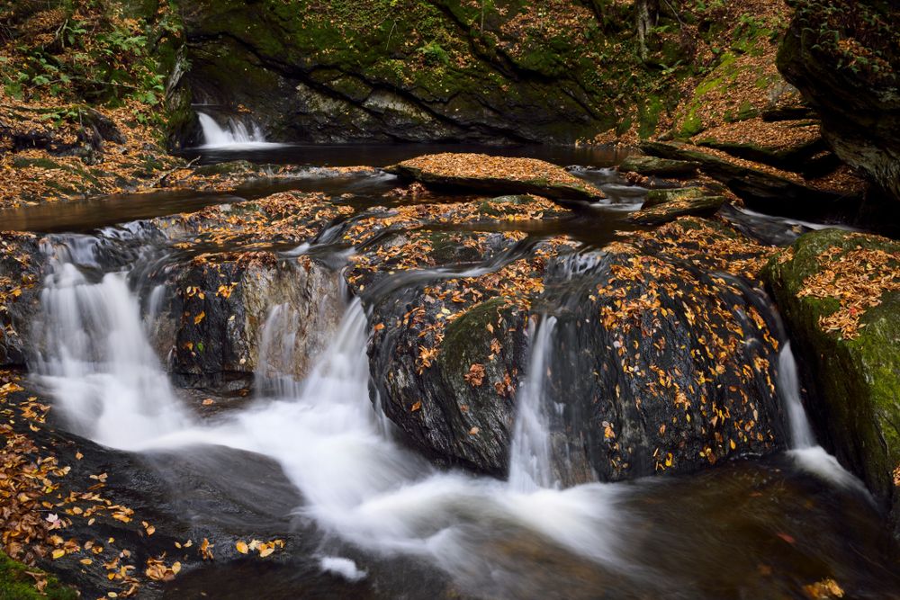 Magnificent Sterling Falls Gorge