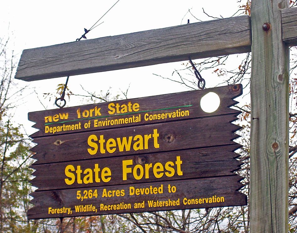 A Sign in Stewart State Forest