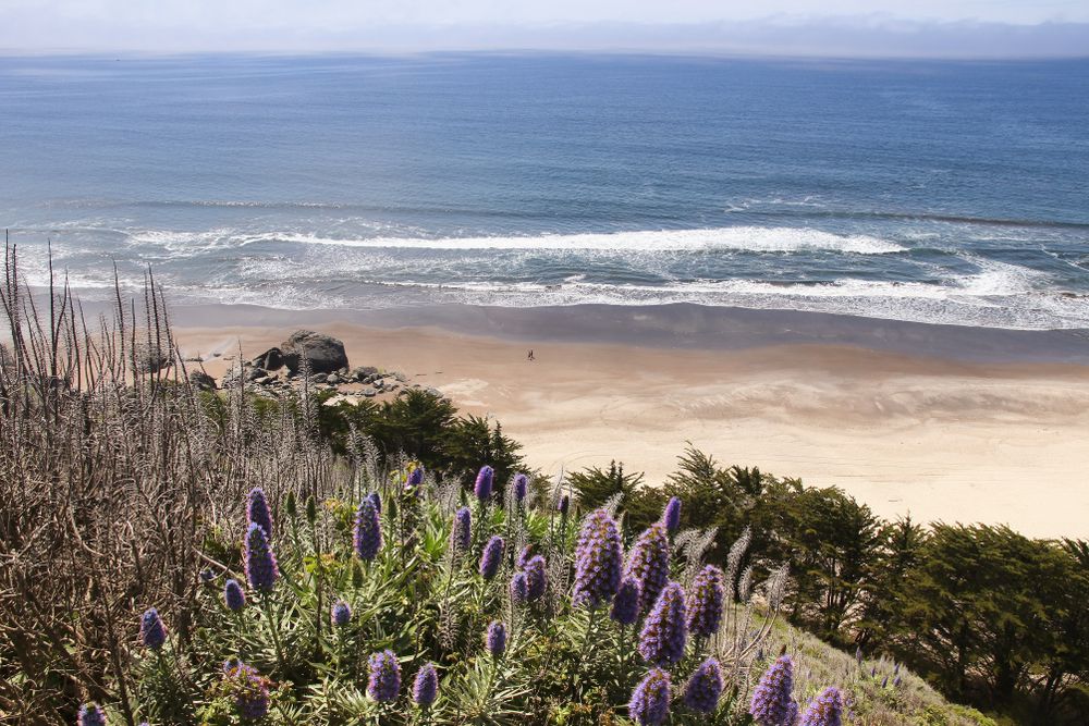 Sunny day at Stinson Beach