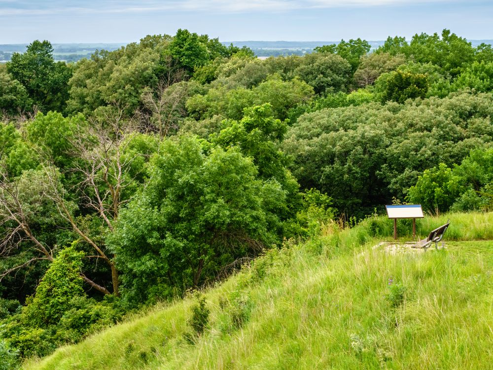 Lush greenery at Stone State Park