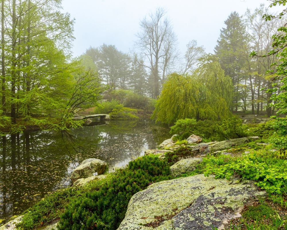 View of Stonecrop Gardens on a foggy day