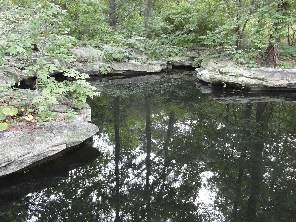 Pond at Stonecrop Gardens