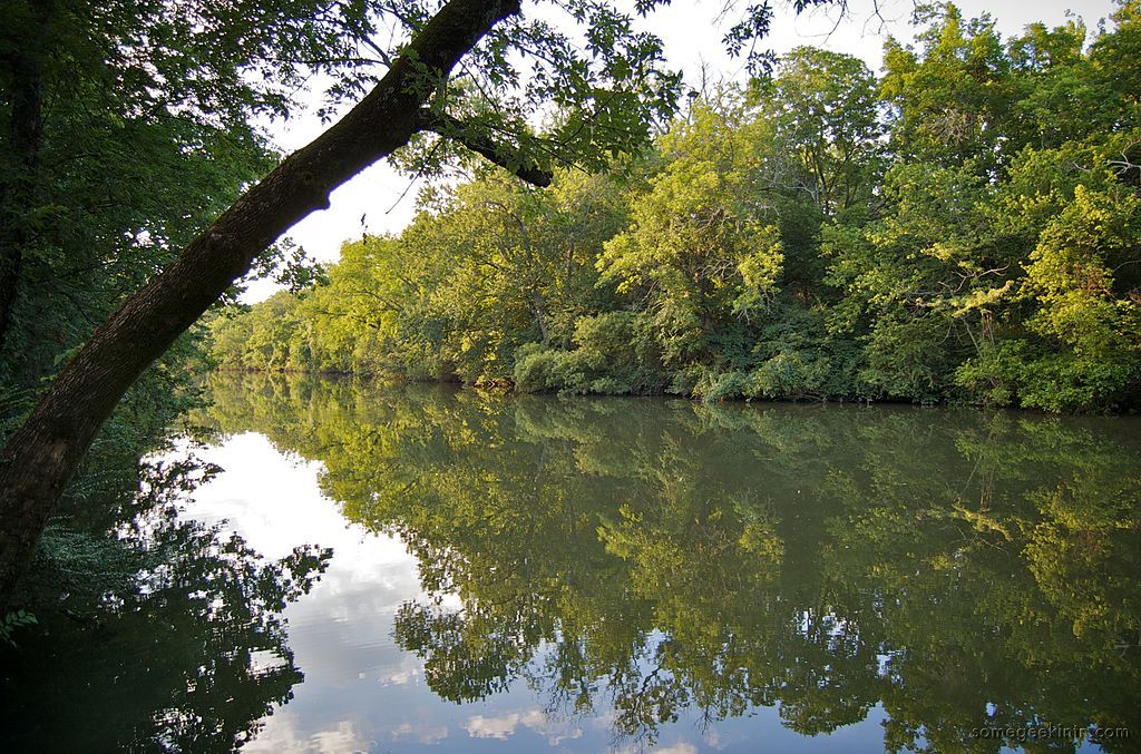 Calm water of Stones River flowing along the Stones River Greenway
