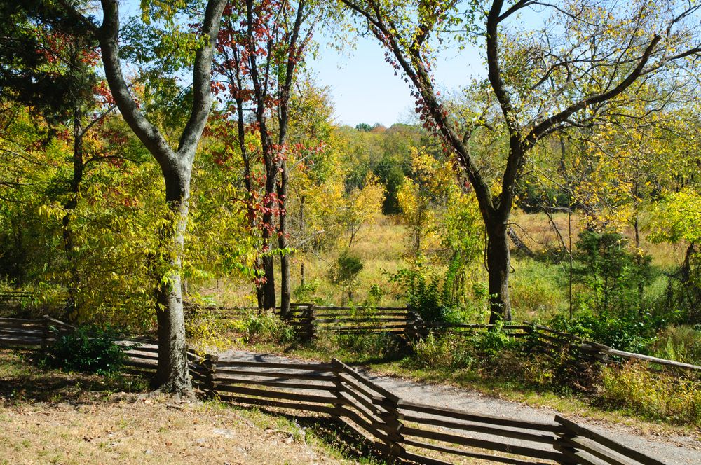 Narrow fenced pathway at Stones River Greenway