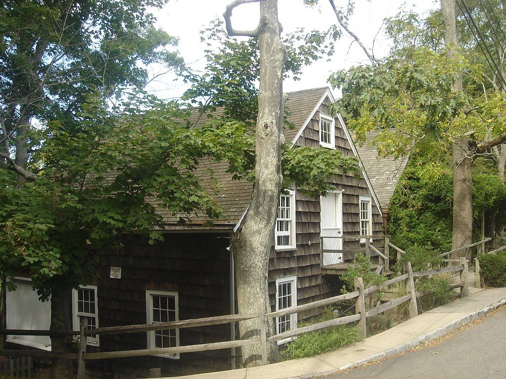A duck swimming at Grist Mill