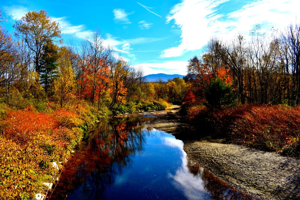 The waters of Stowe Recreation Path