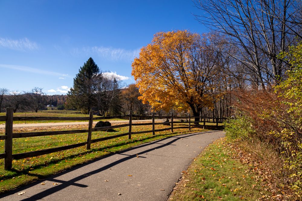 Scenic View of Stowe Recreation Path