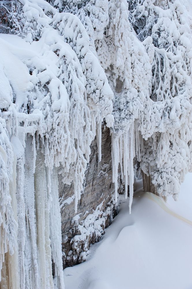 Winter view of Tahquamenon Falls State Park