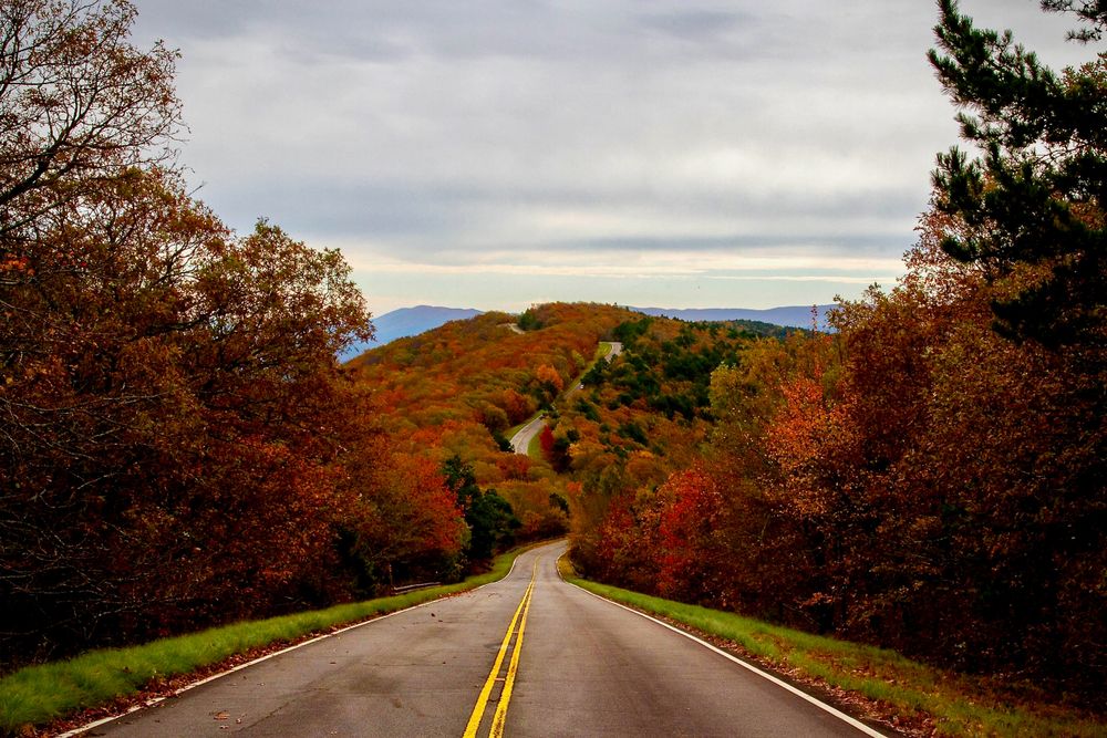 Trees framing the Talimena National Scenic Byway