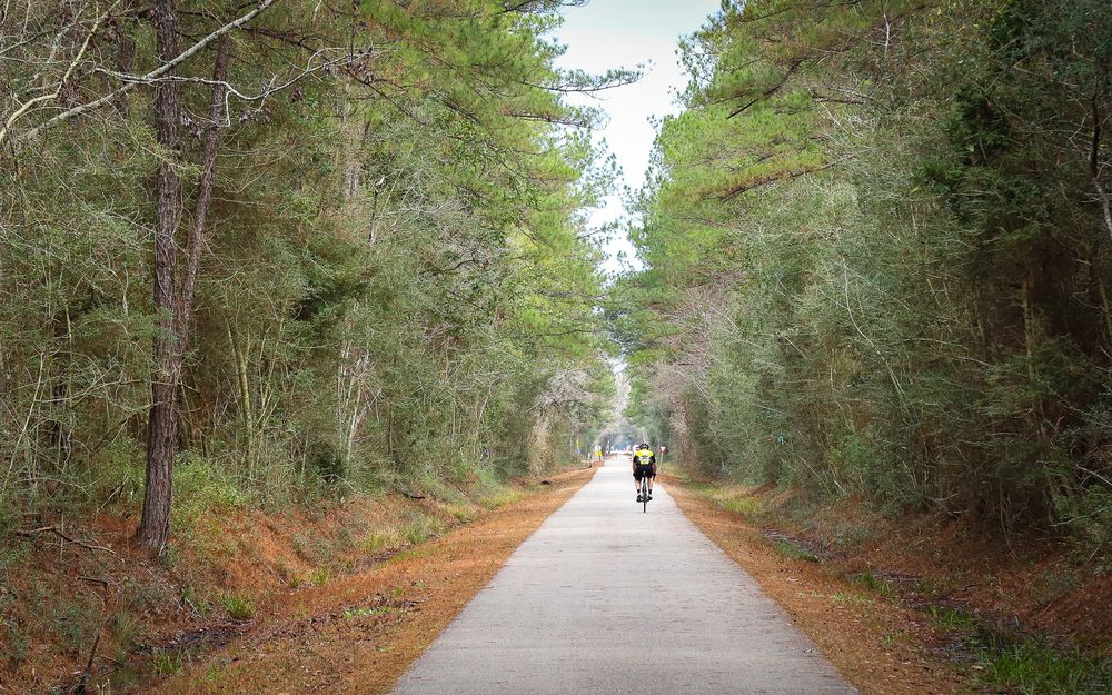 A man cycling at Tammany Trace recreational Trail