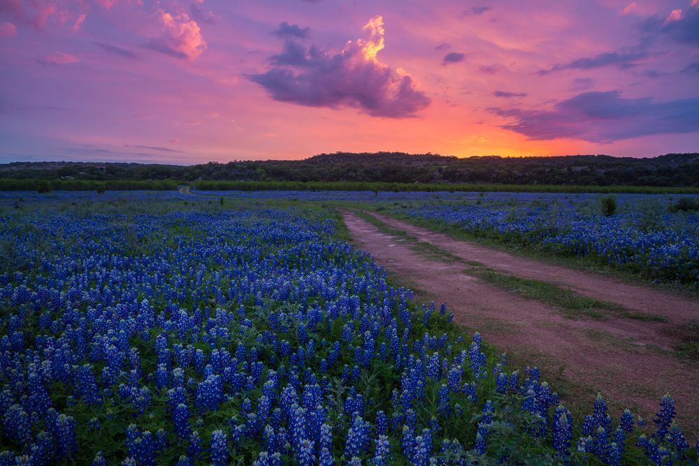 Texas Hill Country