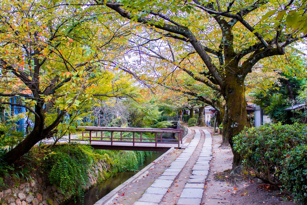 Testugaku no Michi