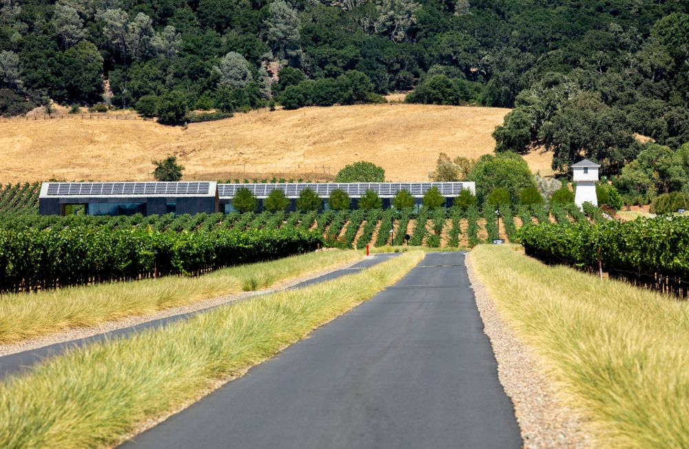 The Wine Road