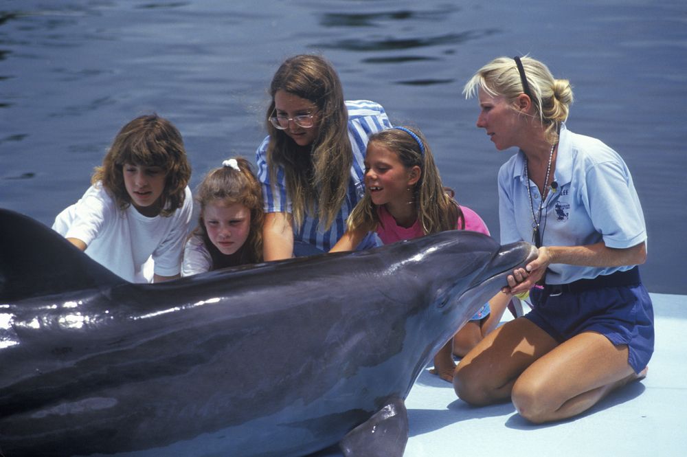 Kids interacting with the dolphins at Theater of the Sea