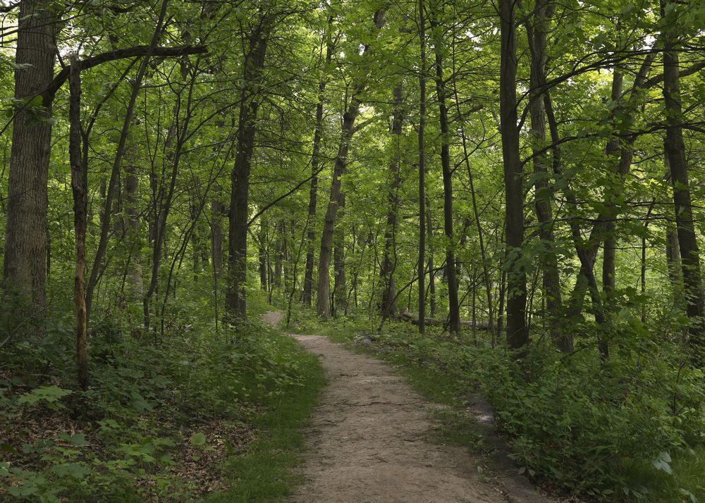 Theodore Wirth Park in Minneapolis, Minnesota