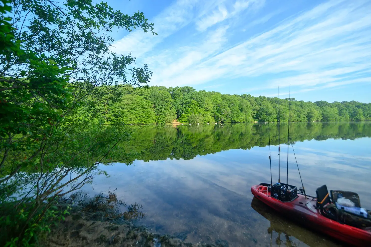 15 Best Things to Do with Kids in Smithtown, NY