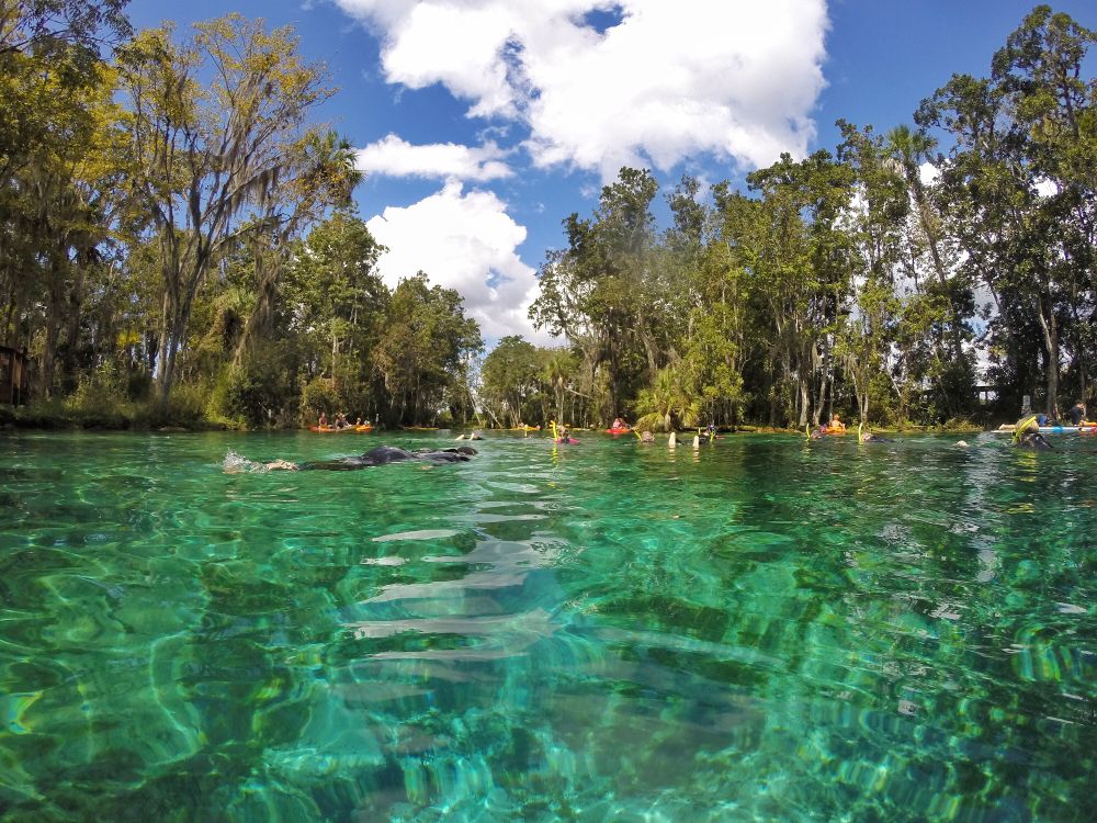 Three Sisters Springs