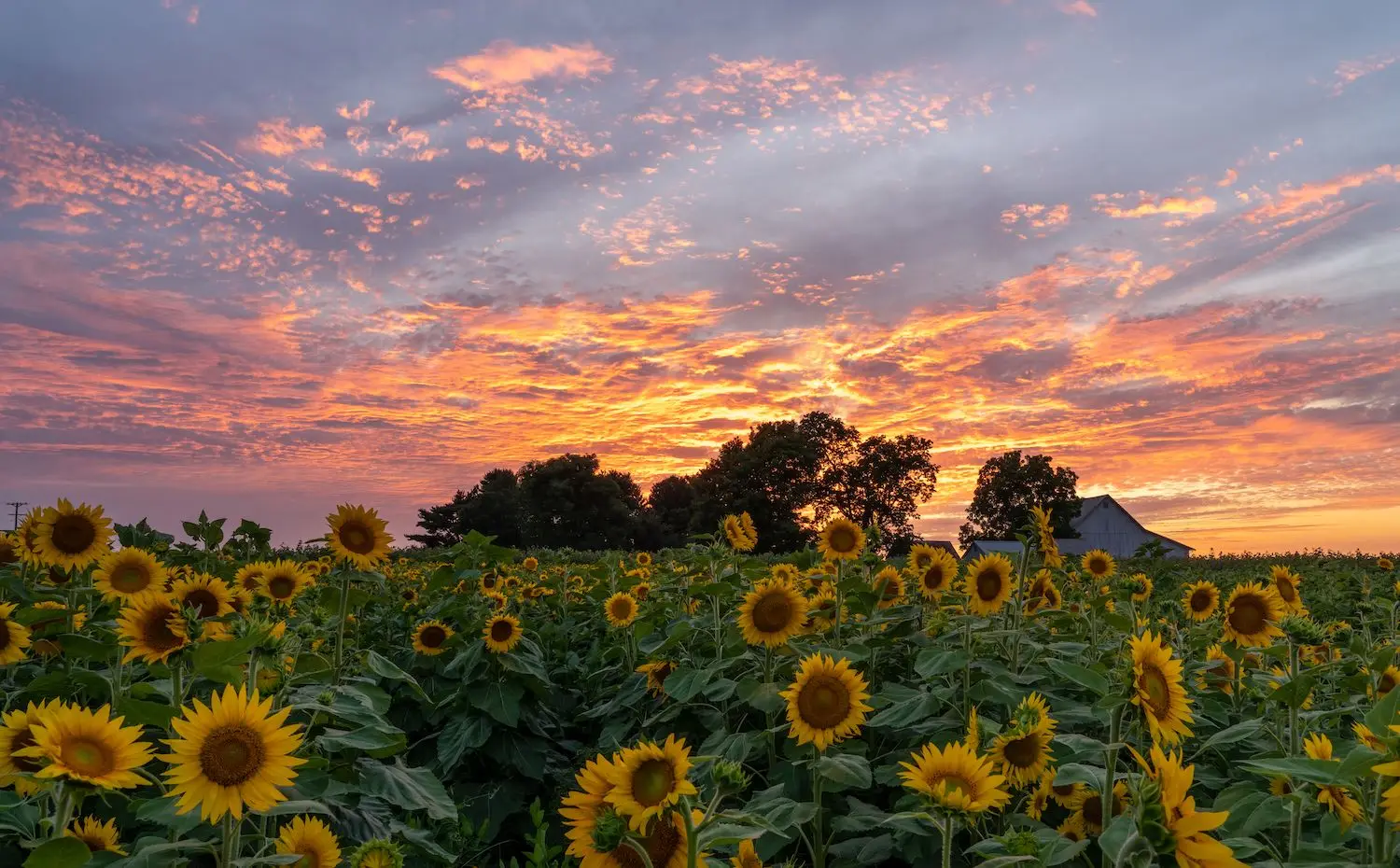 20 Best Things to Do in Tiffin, OH