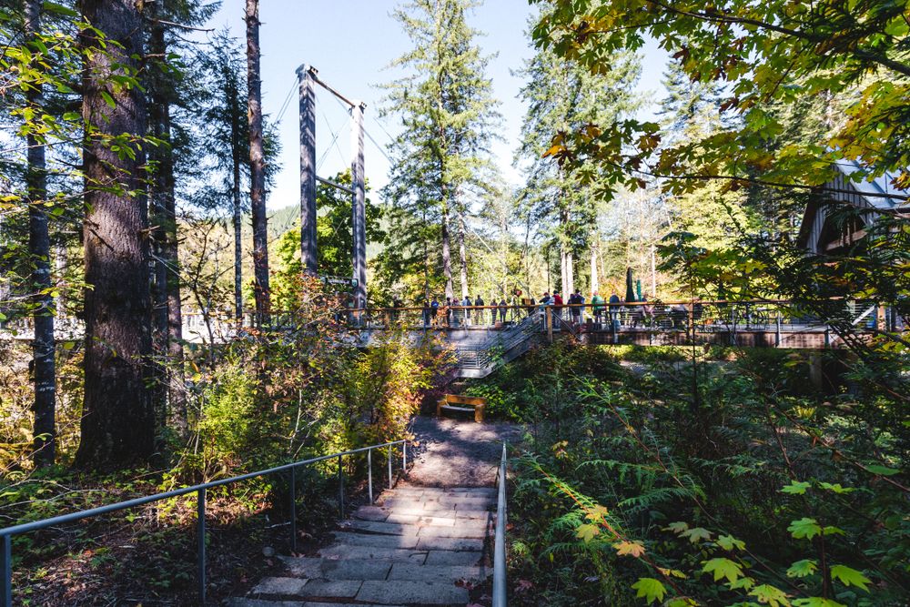 People enjoying the views of Tillamook Forest Center