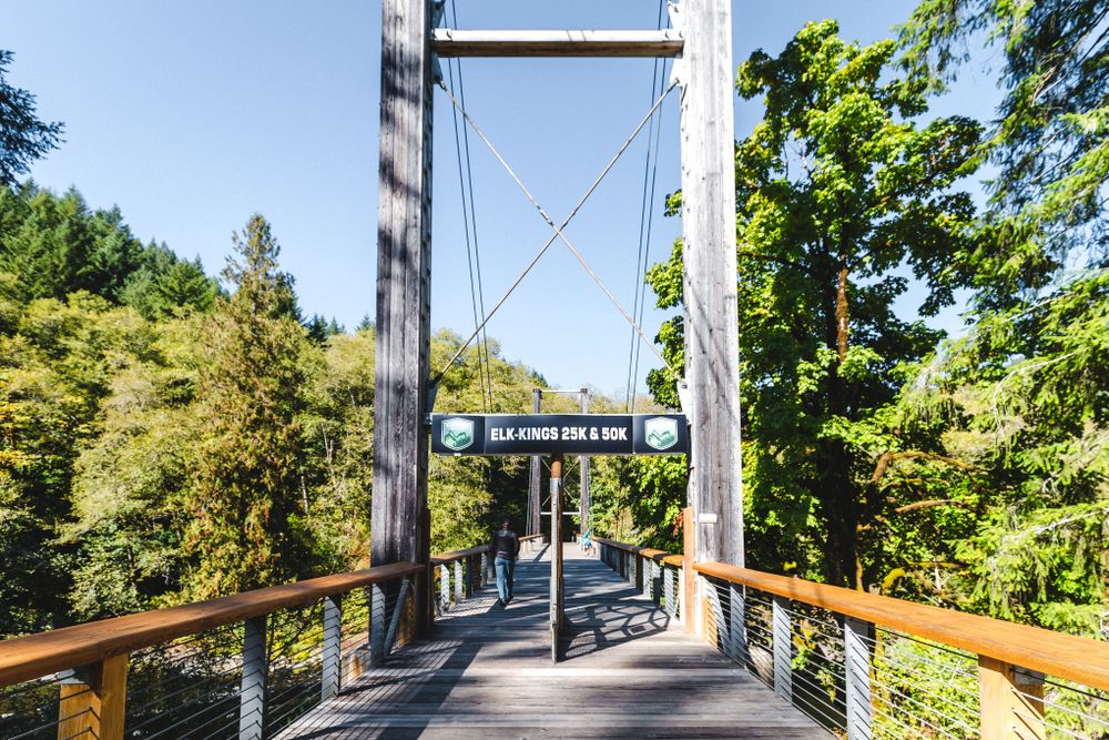 Wooden pedestrian bridge at Tillamook Forest Center