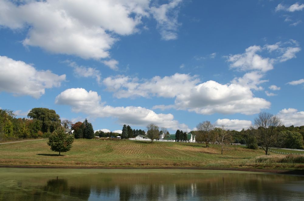 Pond at Tilly Foster Farm