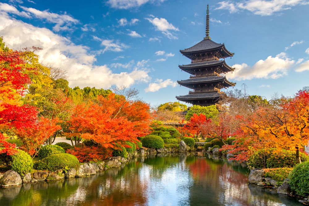 Toji temple in Kyoto