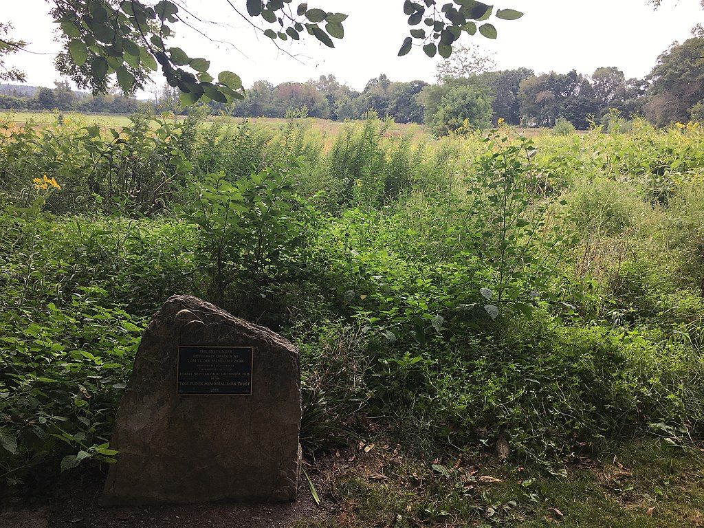 Nature view at Tom Tudek Memorial Park