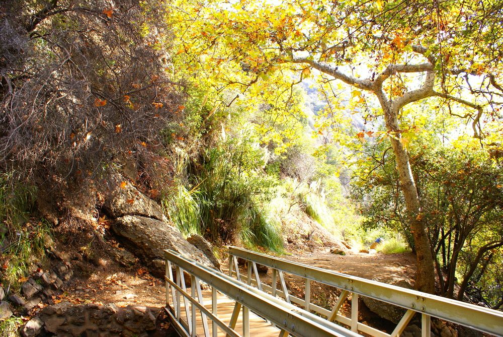 Nature trail at Topanga State Park