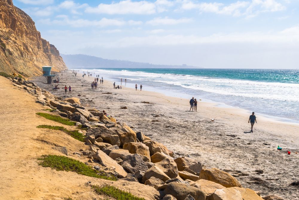 Beach at Torrey Pines State Natural Reserve