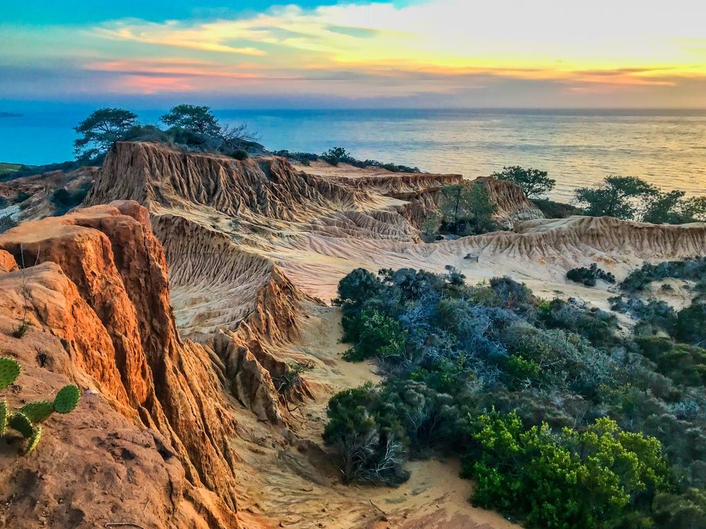 Landscape of Torrey Pines State Natural Reserve