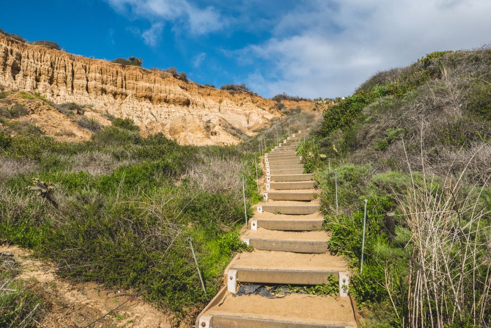 Mesmerizing hiking trail in Torrey Pines State Natural Reserve