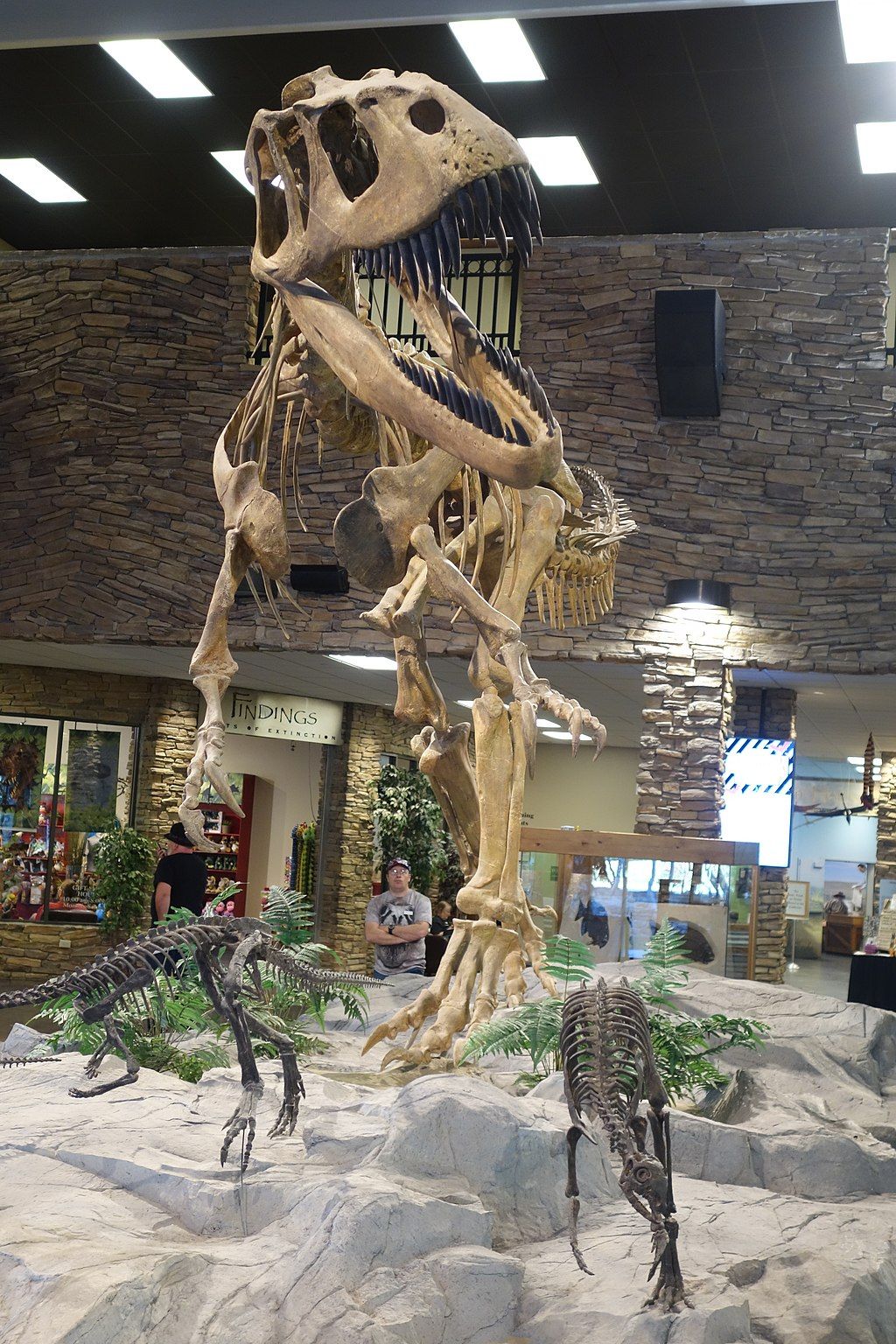Display at  Museum of Ancient Life