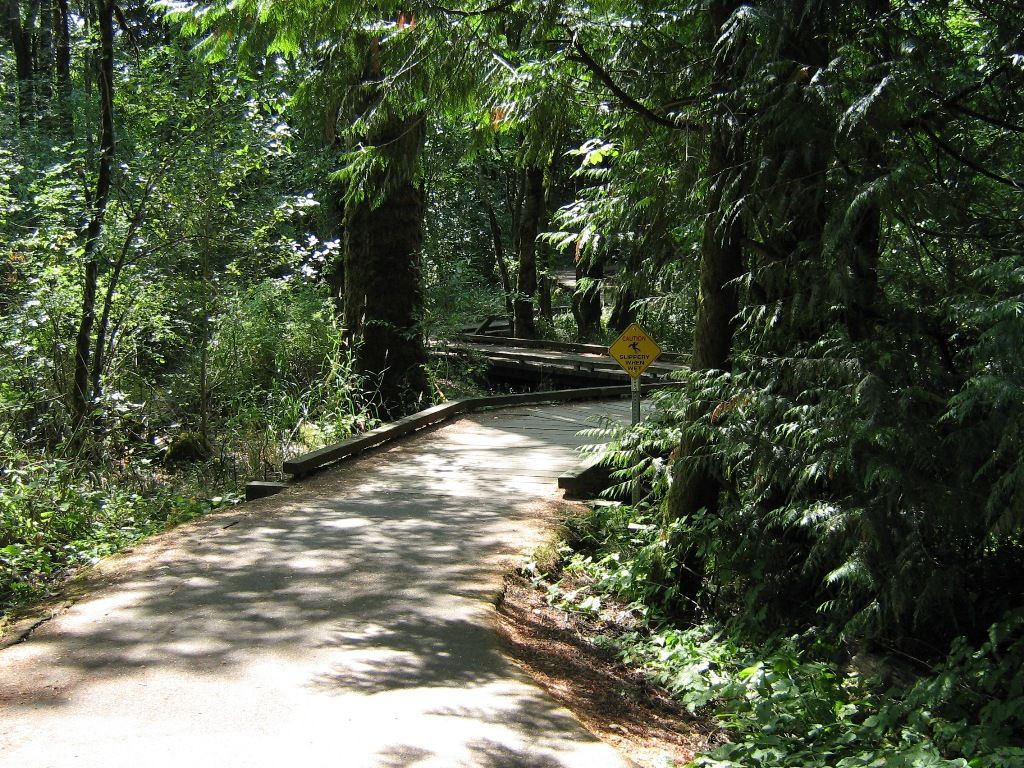 Paved narrow path at Tualatin Hills Nature Reserve