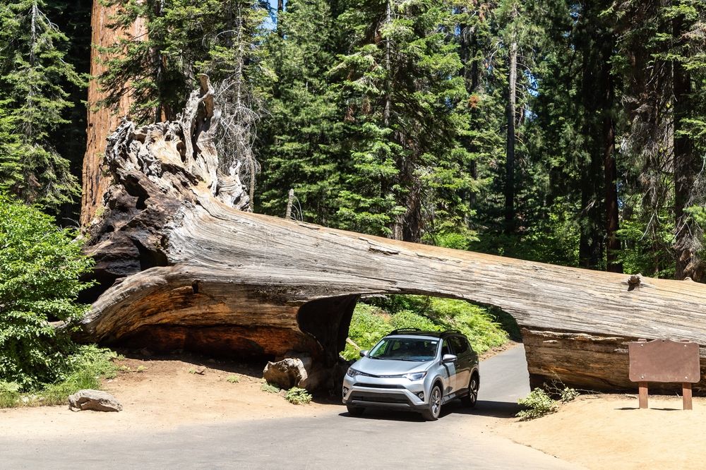 A car passing through the Tunnel Log