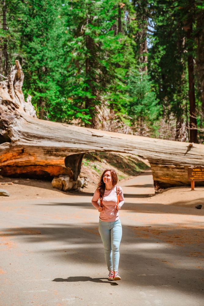A women hiking near the Tunnel Log
