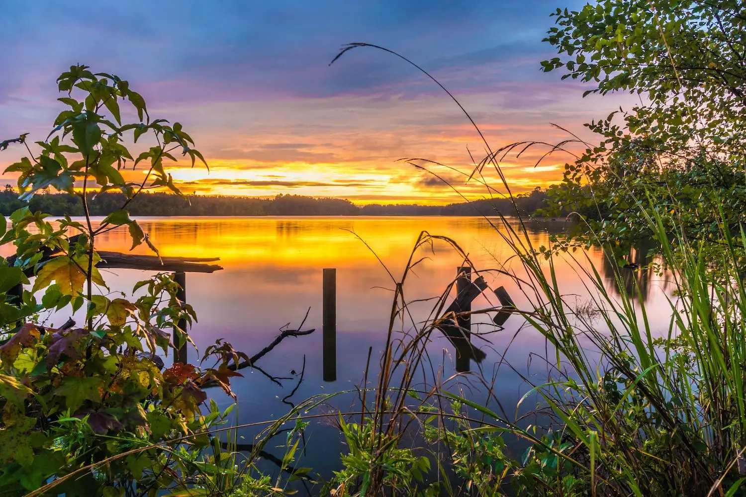 30 Best Things to Do in Tupelo, MS