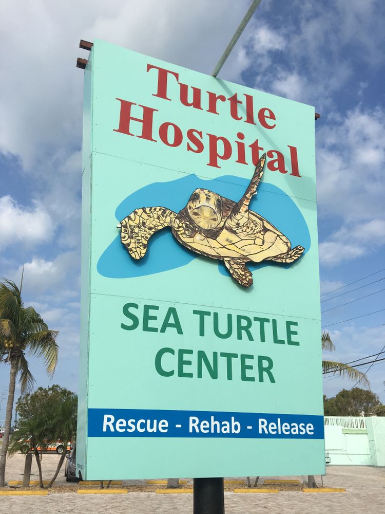 Sign board of Turtle Hospital