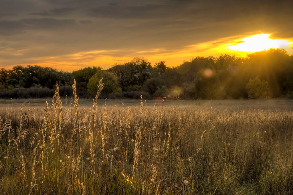 Vibrant sunrise at Two Ponds National Wildlife Refuge