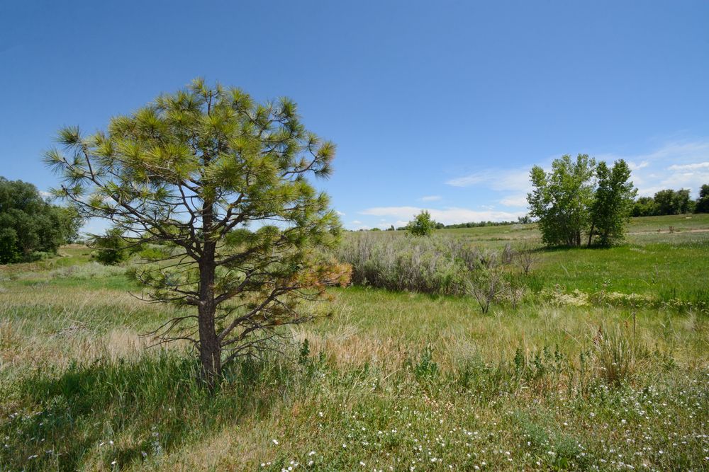 Scenic view of Two Ponds National Wildlife Refuge