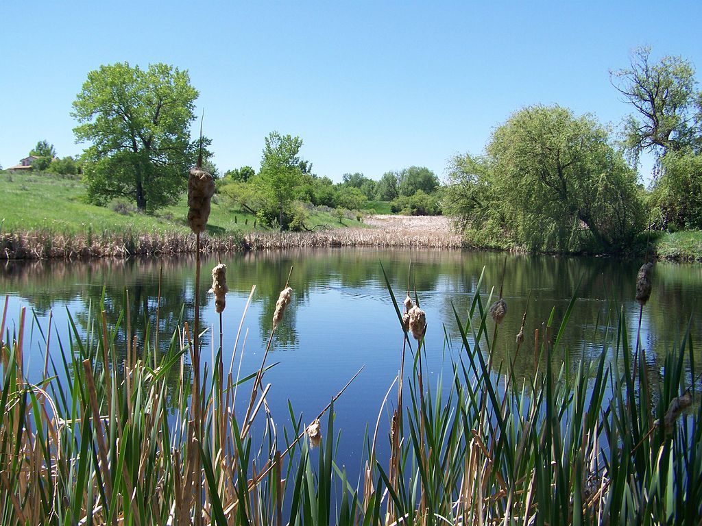 View of Two Ponds National Wildlife Refuge