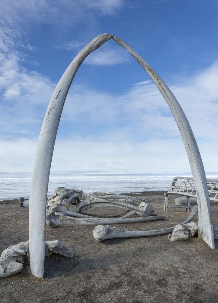 Utqiagvik's iconic Whale Bone Arch
