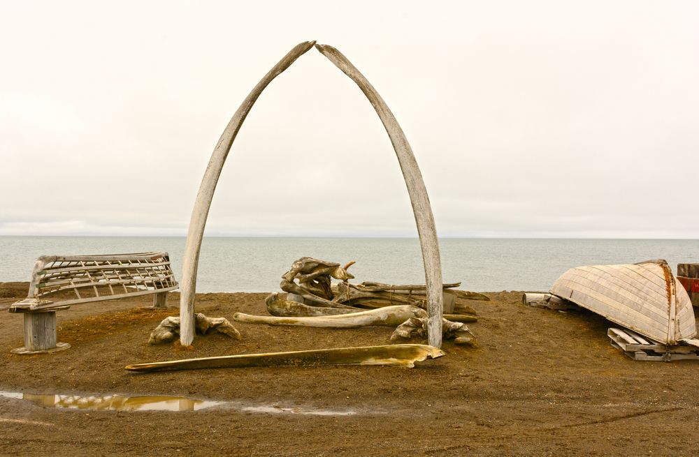 Scenic view of the Whale Bone Arch