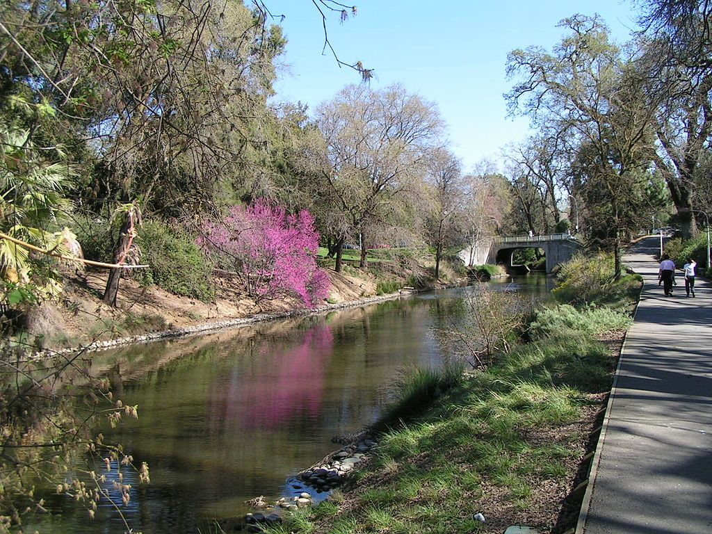 People strolling on a paved path beside a waterbody at UC Davis Arboretum Teaching Nursery