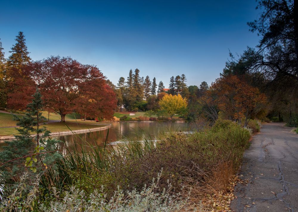 View of UC Davis Arboretum Teaching Nursery