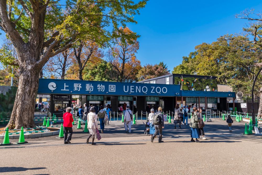 Ueno Zoo in Tokyo