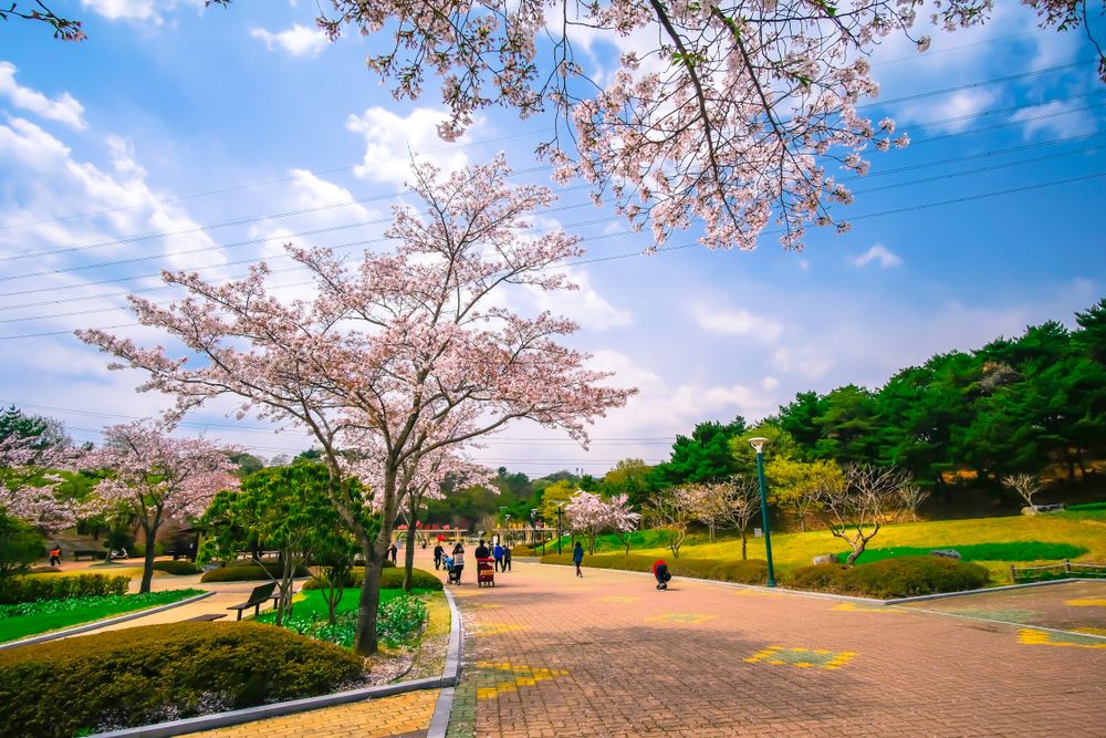 Ulsan Grand Park